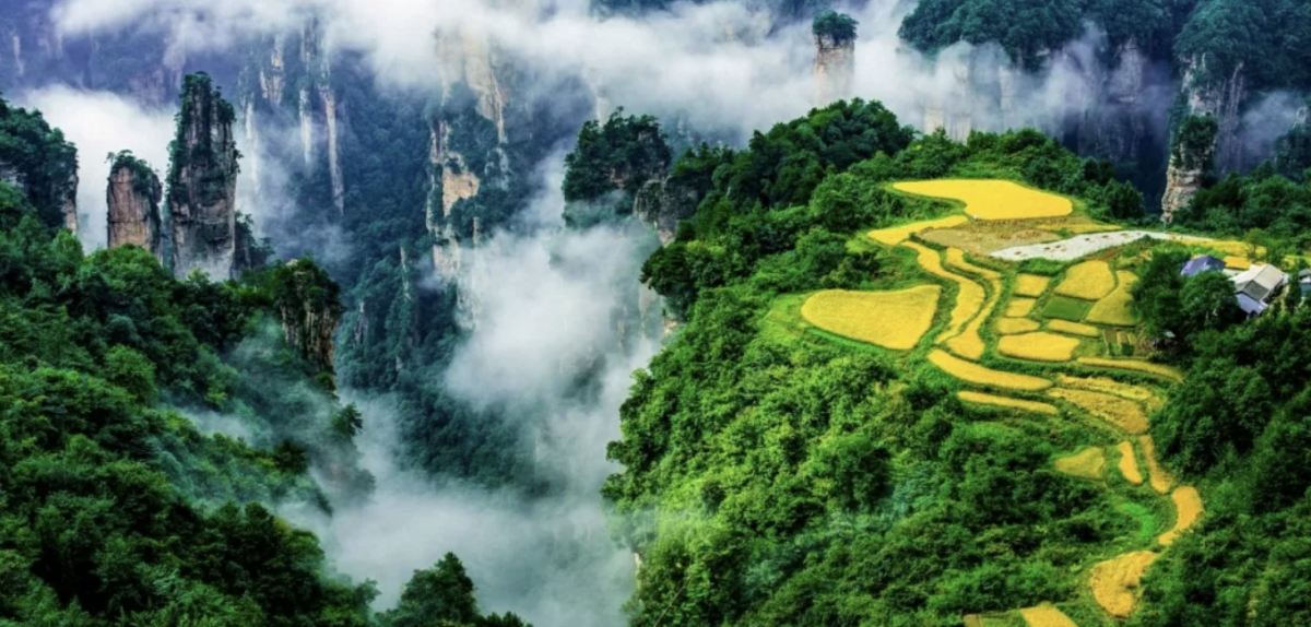 Tourism promotion programme on China’s Zhangjiajie city introduced in Hanoi